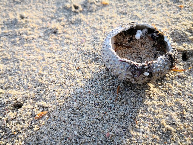 f:id:hiraryo0201:20180421123007j:image f:id:hiraryo0201:20180421123007j:image