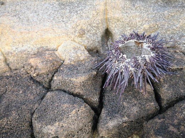 f:id:hiraryo0201:20180421123018j:image f:id:hiraryo0201:20180421123018j:image