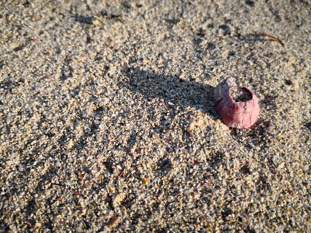 f:id:hiraryo0201:20180421123039j:image f:id:hiraryo0201:20180421123039j:image