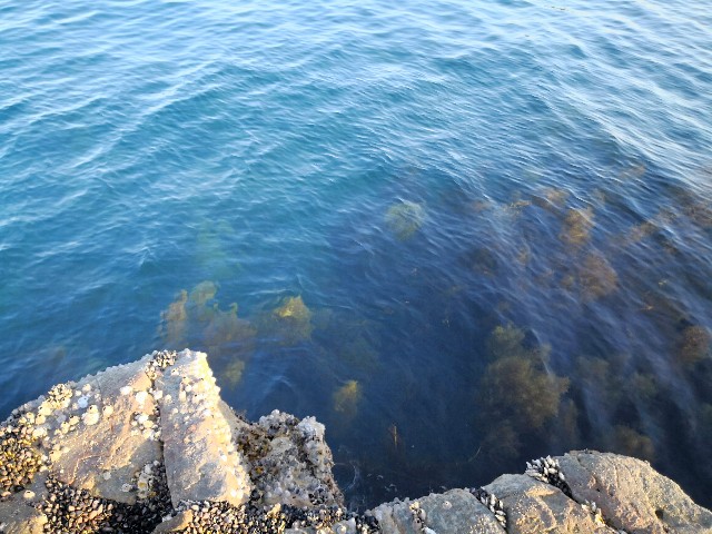 f:id:hiraryo0201:20180421123238j:image f:id:hiraryo0201:20180421123238j:image