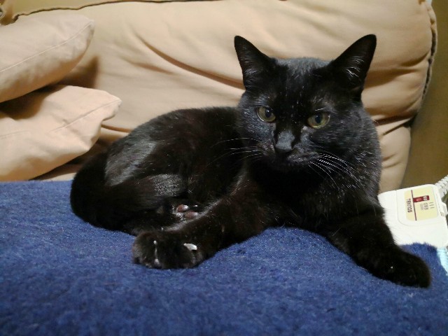 f:id:hiraryo0201:20180423120632j:image