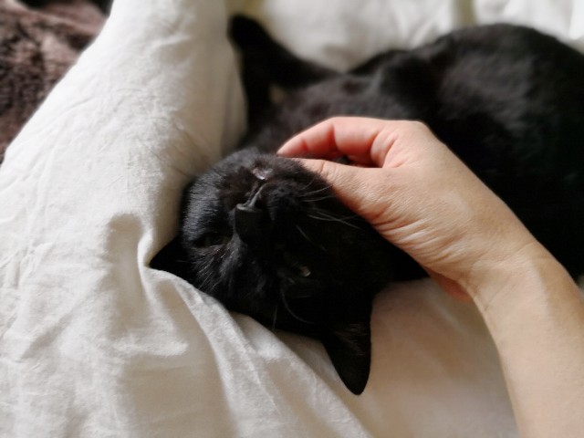 f:id:hiraryo0201:20180423212328j:image f:id:hiraryo0201:20180423212328j:image