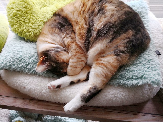 f:id:hiraryo0201:20180426112314j:image f:id:hiraryo0201:20180426112314j:image