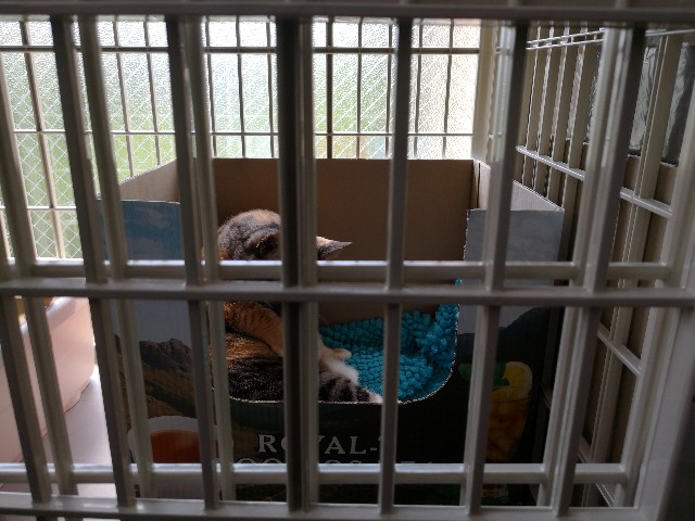 f:id:hiraryo0201:20180430150131j:image