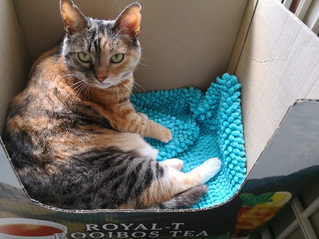 f:id:hiraryo0201:20180430150139j:image