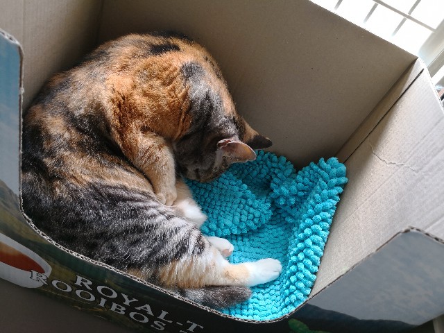 f:id:hiraryo0201:20180430150147j:image