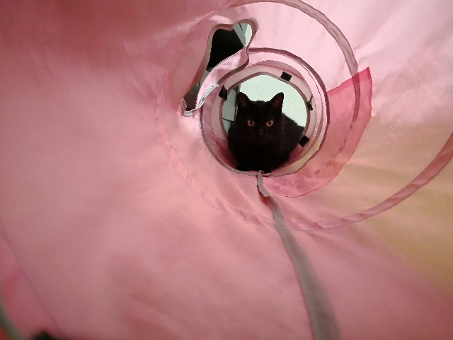 f:id:hiraryo0201:20180430150303j:image f:id:hiraryo0201:20180430150303j:image