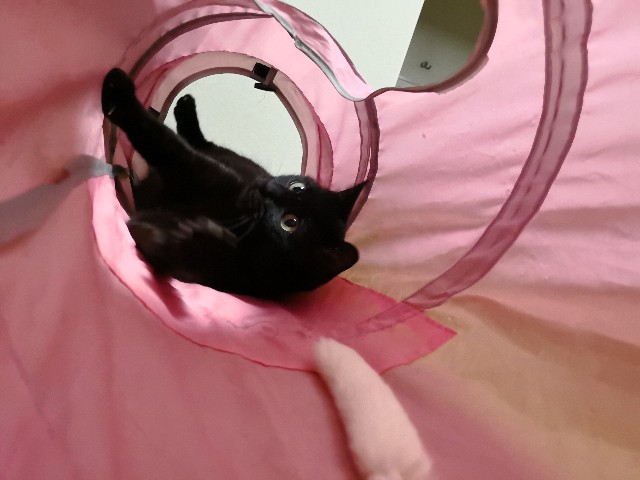 f:id:hiraryo0201:20180430150349j:image f:id:hiraryo0201:20180430150349j:image