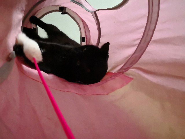 f:id:hiraryo0201:20180430150511j:image f:id:hiraryo0201:20180430150511j:image