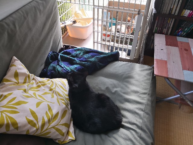 f:id:hiraryo0201:20180430172257j:image