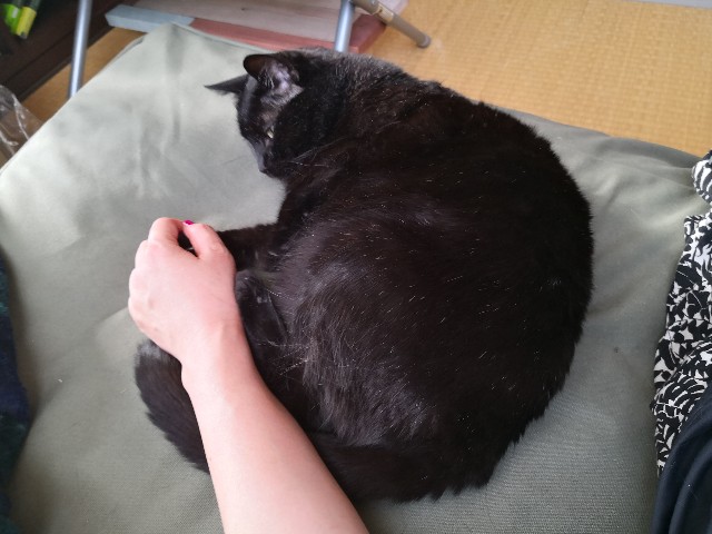 f:id:hiraryo0201:20180430172311j:image