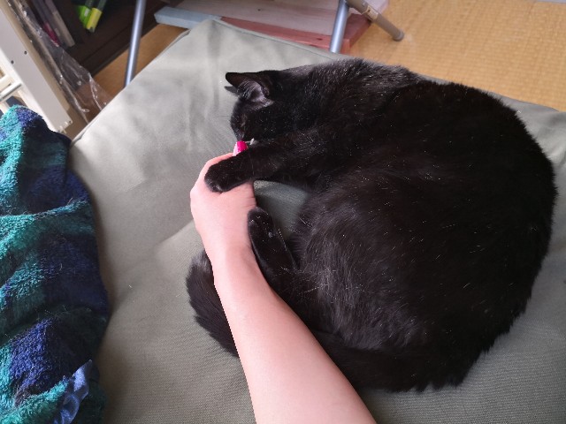 f:id:hiraryo0201:20180430172331j:image