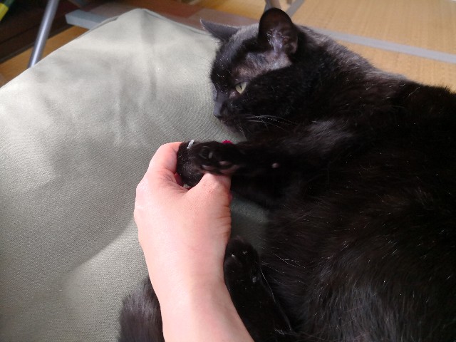 f:id:hiraryo0201:20180430172335j:image