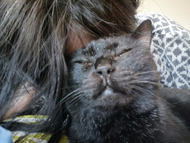 f:id:hiraryo0201:20180504160259j:image f:id:hiraryo0201:20180504160259j:image