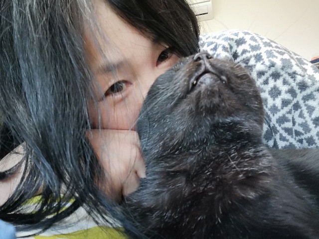 f:id:hiraryo0201:20180504160317j:image f:id:hiraryo0201:20180504160317j:image