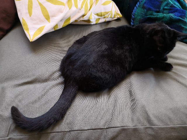 f:id:hiraryo0201:20180504160354j:image f:id:hiraryo0201:20180504160354j:image