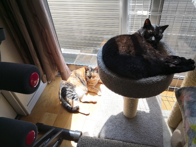 f:id:hiraryo0201:20180504160429j:image f:id:hiraryo0201:20180504160429j:image