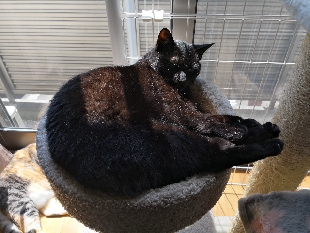 f:id:hiraryo0201:20180504160458j:image f:id:hiraryo0201:20180504160458j:image