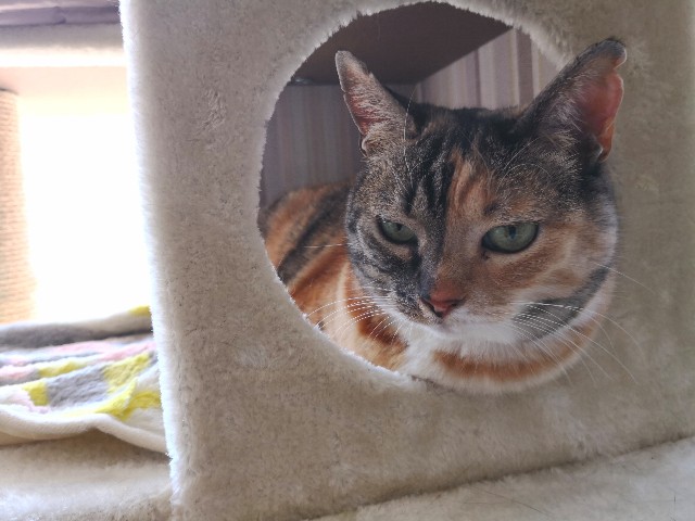 f:id:hiraryo0201:20180504160516j:image f:id:hiraryo0201:20180504160516j:image