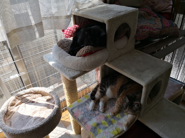 f:id:hiraryo0201:20180505102744j:plain