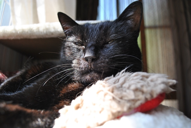 f:id:hiraryo0201:20180506121815j:plain f:id:hiraryo0201:20180506121815j:plain