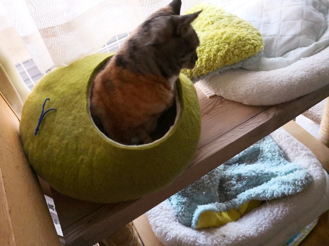 f:id:hiraryo0201:20180506122912j:image f:id:hiraryo0201:20180506122912j:image