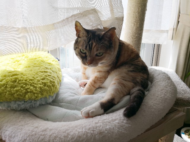 f:id:hiraryo0201:20180506122932j:image f:id:hiraryo0201:20180506122932j:image