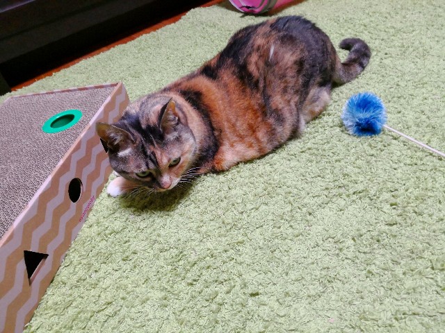 f:id:hiraryo0201:20180506122954j:image f:id:hiraryo0201:20180506122954j:image