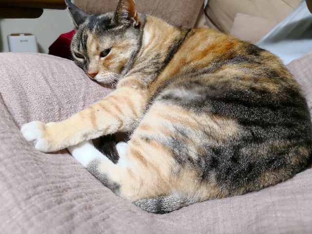 f:id:hiraryo0201:20180506123152j:image f:id:hiraryo0201:20180506123152j:image