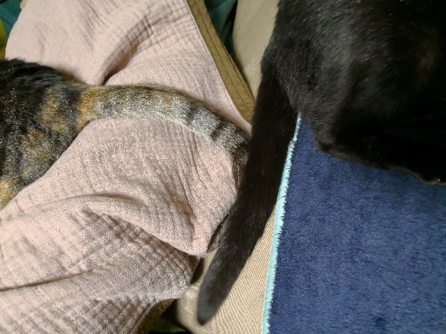 f:id:hiraryo0201:20180512225155j:image f:id:hiraryo0201:20180512225155j:image