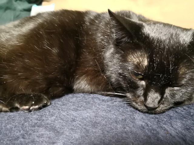 f:id:hiraryo0201:20180512225217j:image f:id:hiraryo0201:20180512225217j:image