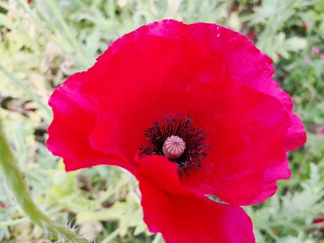 f:id:hiraryo0201:20180526175308j:image f:id:hiraryo0201:20180526175308j:image