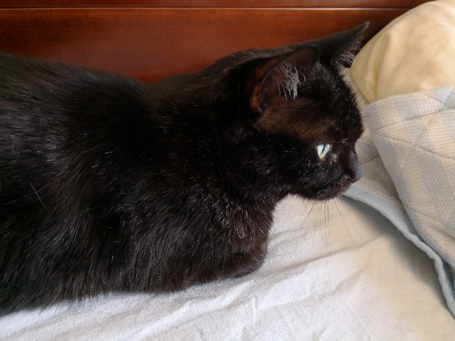 f:id:hiraryo0201:20180527101701j:image f:id:hiraryo0201:20180527101701j:image