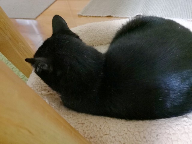 f:id:hiraryo0201:20180528232234j:image f:id:hiraryo0201:20180528232234j:image