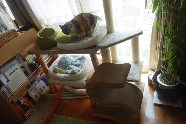 f:id:hiraryo0201:20180603212718j:plain