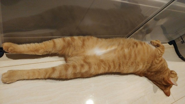 f:id:hiraryo0201:20180605193406j:plain f:id:hiraryo0201:20180605193406j:plain