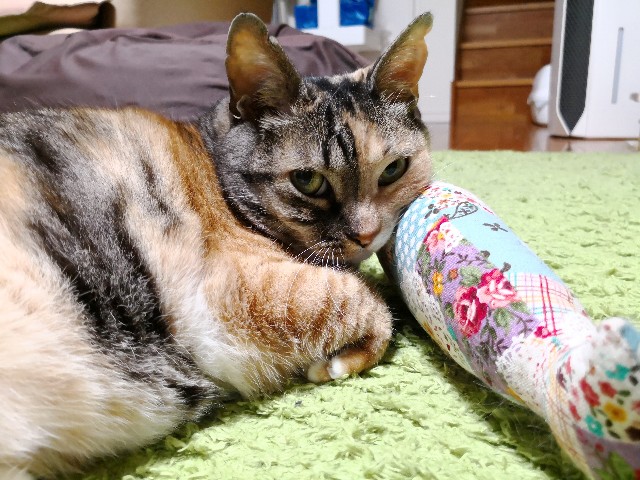 f:id:hiraryo0201:20180609081552j:image