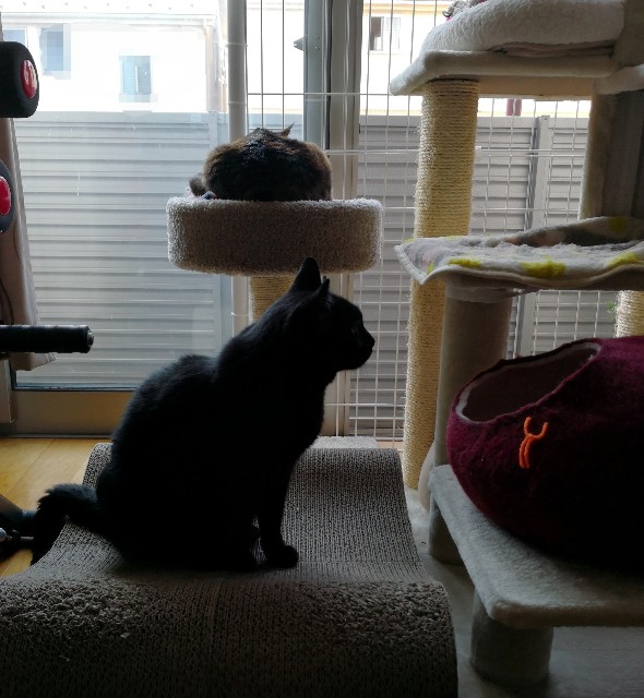 f:id:hiraryo0201:20180609085601j:image f:id:hiraryo0201:20180609085601j:image