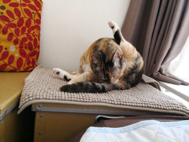 f:id:hiraryo0201:20180609234523j:image f:id:hiraryo0201:20180609234523j:image