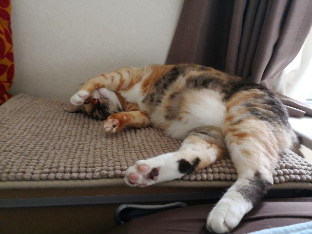 f:id:hiraryo0201:20180609234542j:image f:id:hiraryo0201:20180609234542j:image