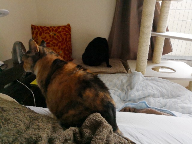 f:id:hiraryo0201:20180619191805j:image f:id:hiraryo0201:20180619191805j:image