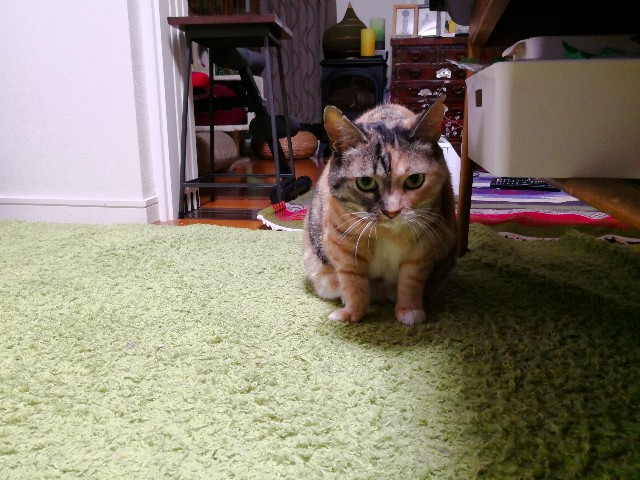 f:id:hiraryo0201:20180619191831j:image f:id:hiraryo0201:20180619191831j:image