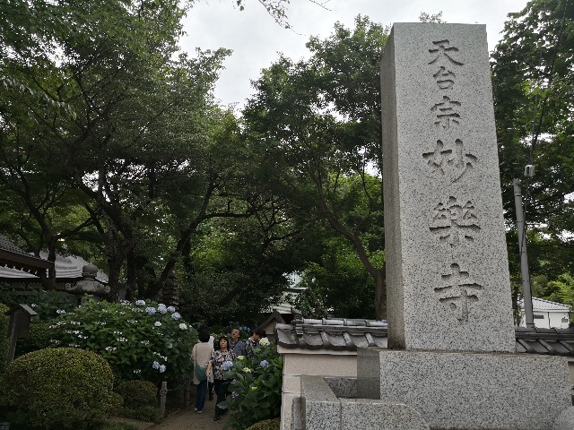 f:id:hiraryo0201:20180623071309j:image f:id:hiraryo0201:20180623071309j:image