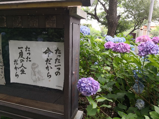 f:id:hiraryo0201:20180623071335j:image f:id:hiraryo0201:20180623071335j:image