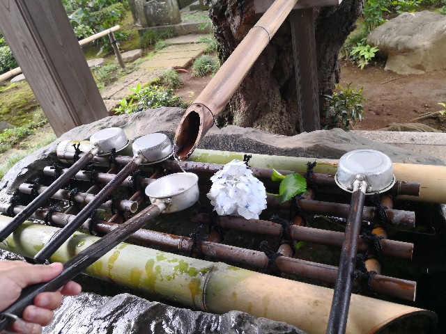 f:id:hiraryo0201:20180623071430j:image f:id:hiraryo0201:20180623071430j:image