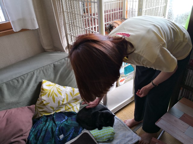 f:id:hiraryo0201:20180624212323j:image f:id:hiraryo0201:20180624212323j:image