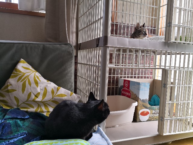 f:id:hiraryo0201:20180624212733j:image f:id:hiraryo0201:20180624212733j:image