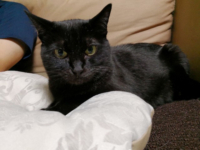 f:id:hiraryo0201:20180624215157j:image f:id:hiraryo0201:20180624215157j:image