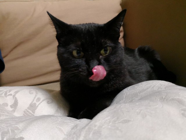 f:id:hiraryo0201:20180624215210j:image f:id:hiraryo0201:20180624215210j:image