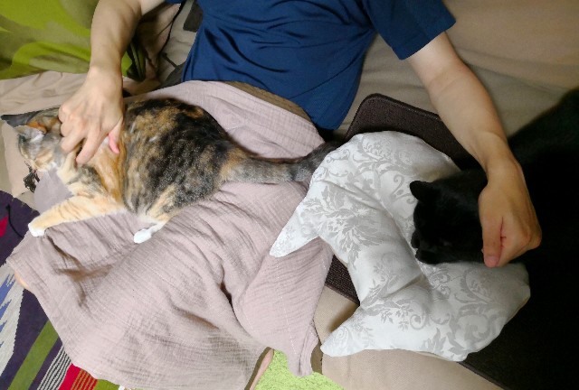 f:id:hiraryo0201:20180625213544j:image f:id:hiraryo0201:20180625213544j:image